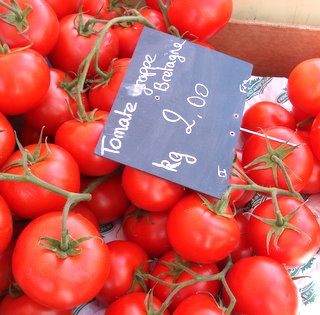 Tomatoes from Brittany.JPG